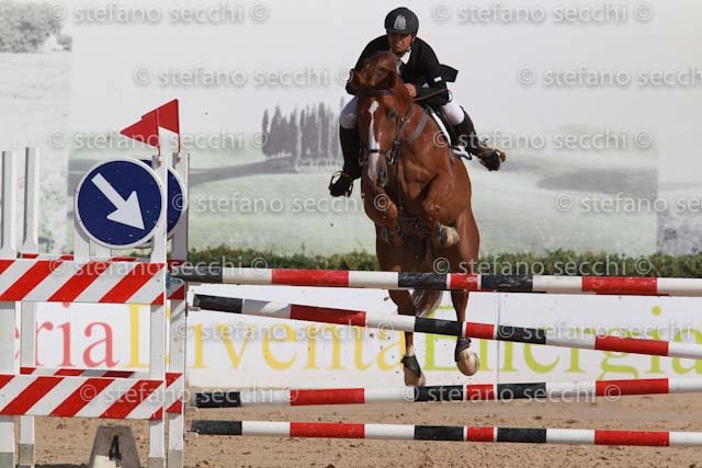 CARCANGIU_MENHIR_GIO CAV 2011_SS3_9137.jpg